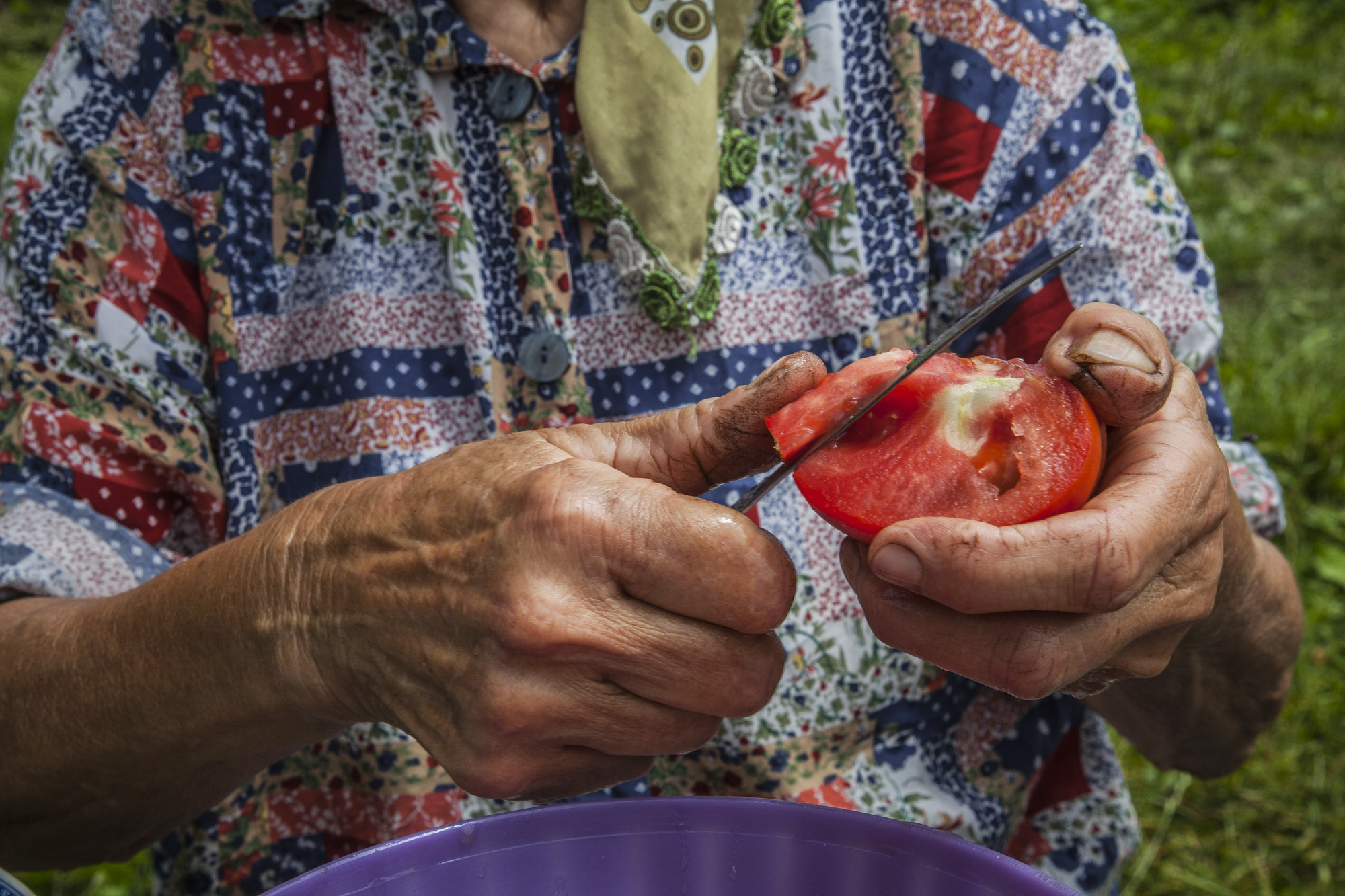 11. Medjulla, widowed farmer, cutting tomatoes