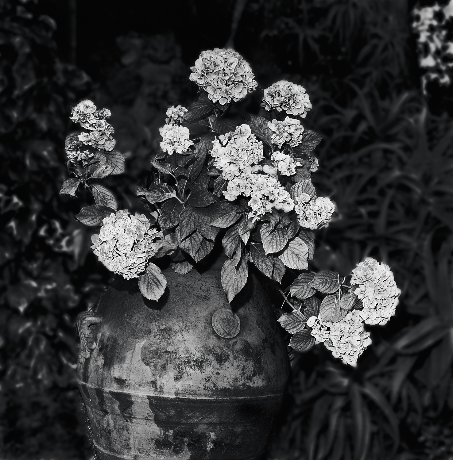 10. flowers in urn