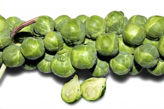 2 Brussels sprouts in close up on their stalk against a white ground
