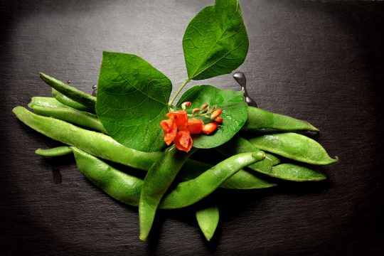 21 a group of fresh runner beans with leaves and flowers on a dark ground