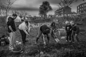 35. first community dig on allotment