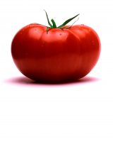 6 tomato on a white background